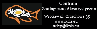 ikola baner
