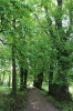 Park w majowym słońcu