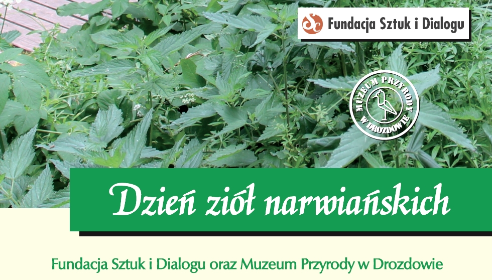 Pokrzywa plakat1