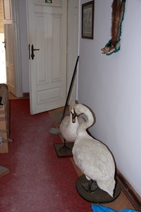 IMG_2272_M