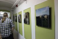 IMG_17719 IMG_17719