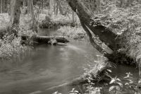 DSC_0151_2 DSC_0151_2