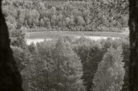 RRF_0220_2 RRF_0220_2