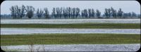 DSC03676-2 DSC03676-2