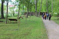 IMG_7201 IMG_7201