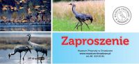 zaproszenie zaproszenie